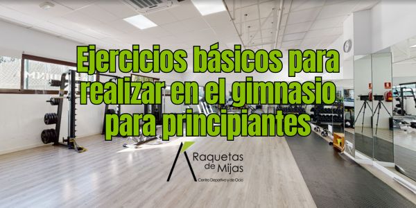 Ejercicios-básicos-para-realizar-en-el-gimnasio-para-principiantes